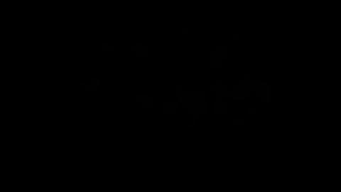 3650
