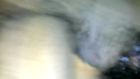 33235