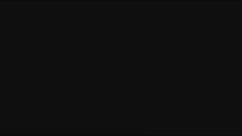 10024