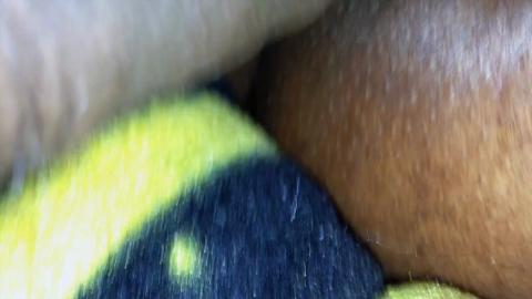 22485