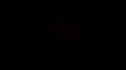 32807