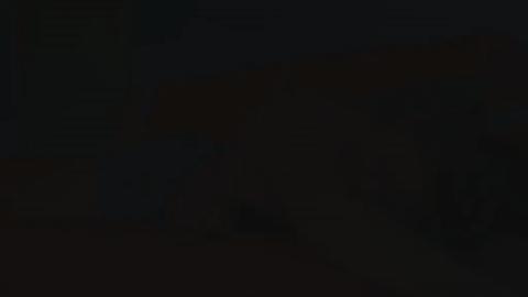 32725