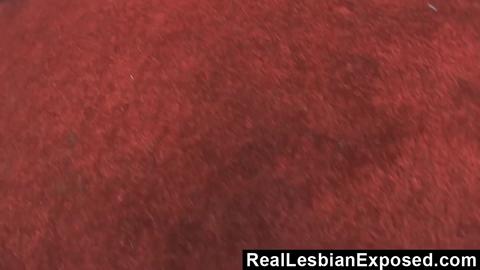 27233