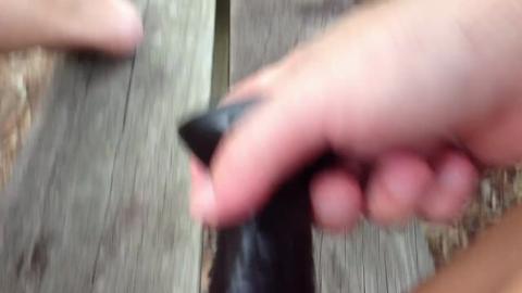 24321