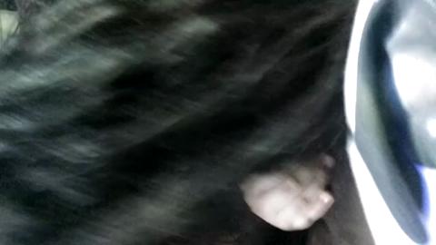 7395