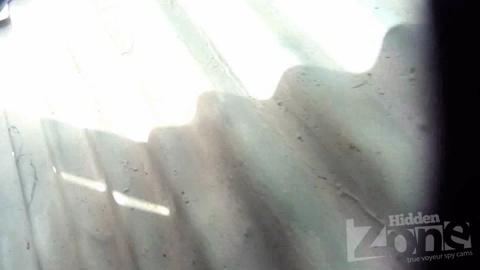 7817