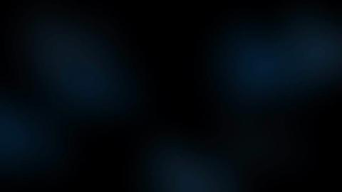 35563